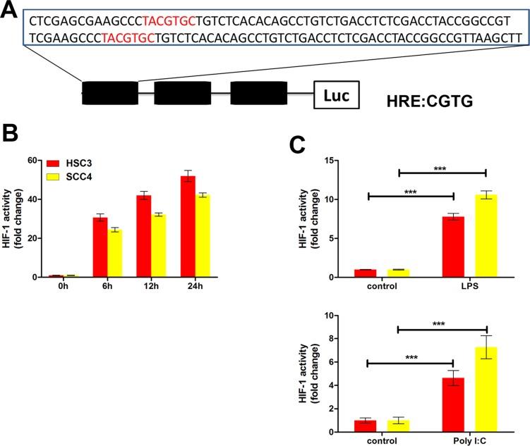 https://cdn.ncbi.nlm.nih.gov/pmc/blobs/af1f/5122348/dca7622dc191/oncotarget-07-37773-g006.jpg