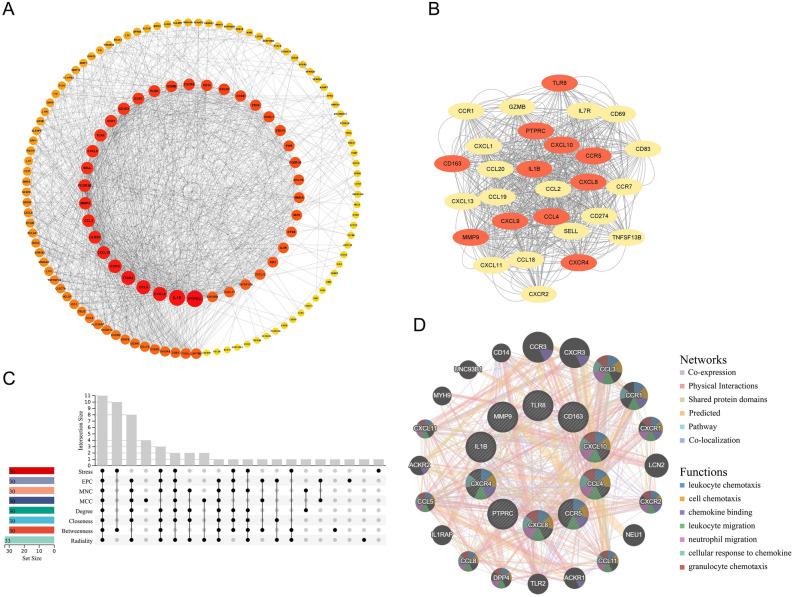 https://cdn.ncbi.nlm.nih.gov/pmc/blobs/af20/10847114/eb1b8ac9c123/41598_2024_53453_Fig4_HTML.jpg