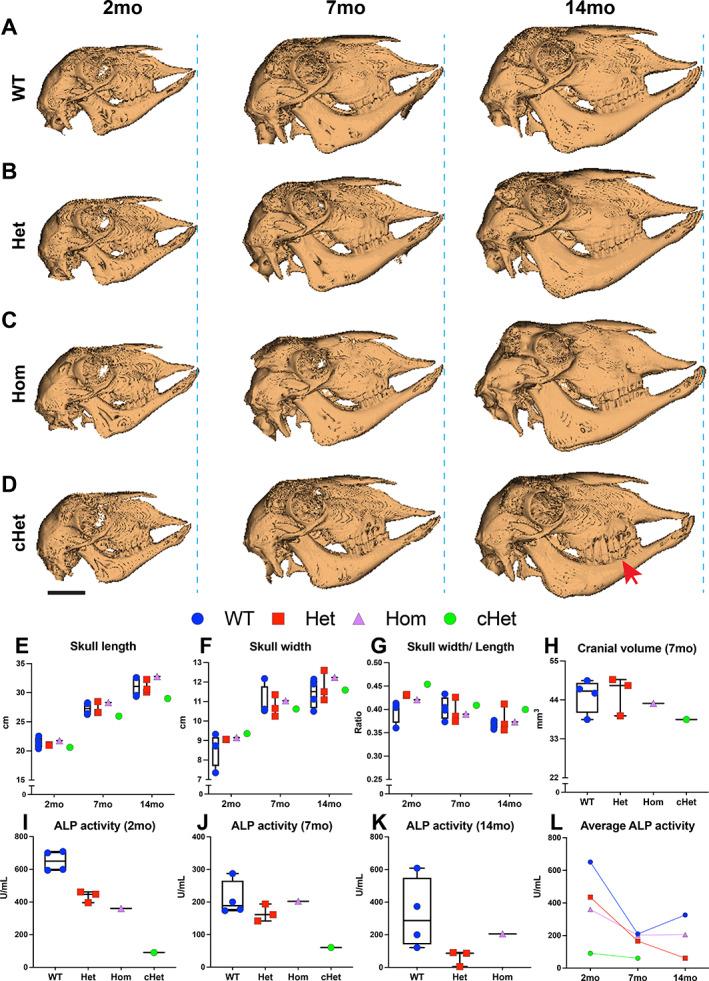 https://cdn.ncbi.nlm.nih.gov/pmc/blobs/af20/9804700/f575c6a53ad9/JBMR-37-2005-g003.jpg