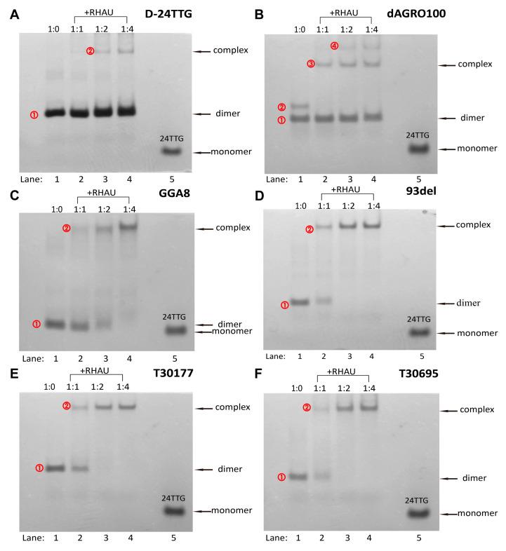 https://cdn.ncbi.nlm.nih.gov/pmc/blobs/af23/11676799/475a9203b7a3/molecules-29-05915-g005.jpg