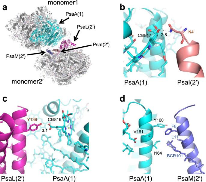 https://cdn.ncbi.nlm.nih.gov/pmc/blobs/af24/8967866/df7e5473eba6/41467_2022_29303_Fig4_HTML.jpg