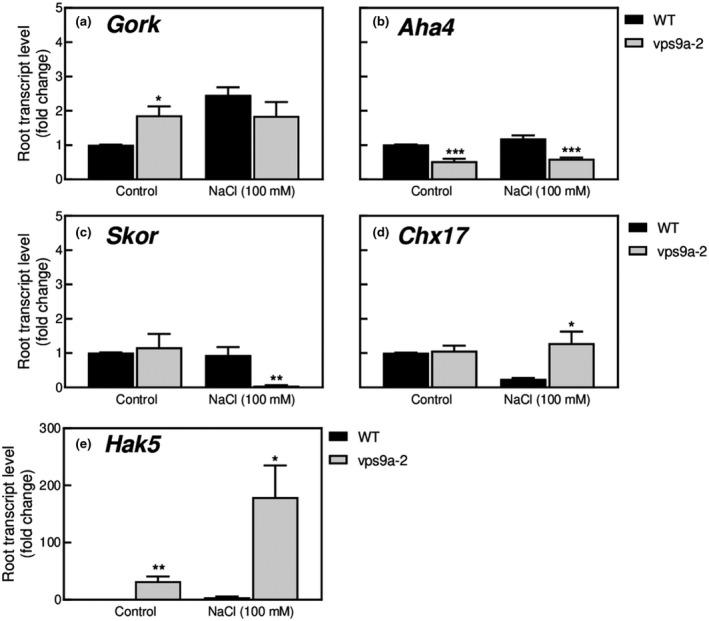 https://cdn.ncbi.nlm.nih.gov/pmc/blobs/af26/7576885/1dabbd145eea/PLD3-4-e00273-g003.jpg