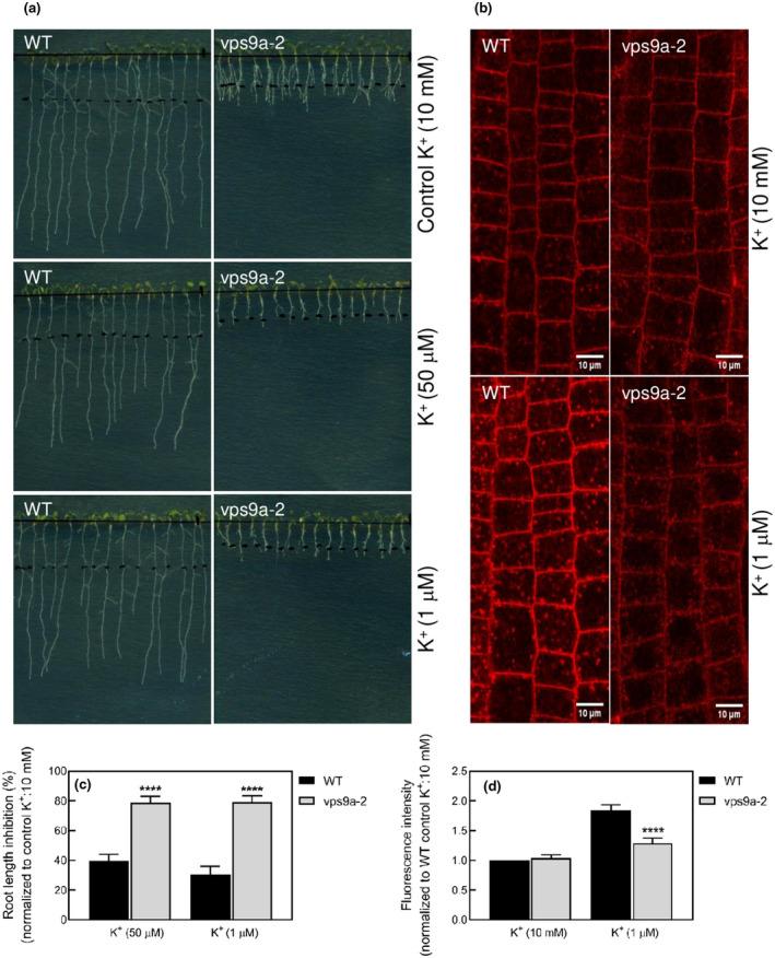 https://cdn.ncbi.nlm.nih.gov/pmc/blobs/af26/7576885/c9e4be9918ea/PLD3-4-e00273-g002.jpg