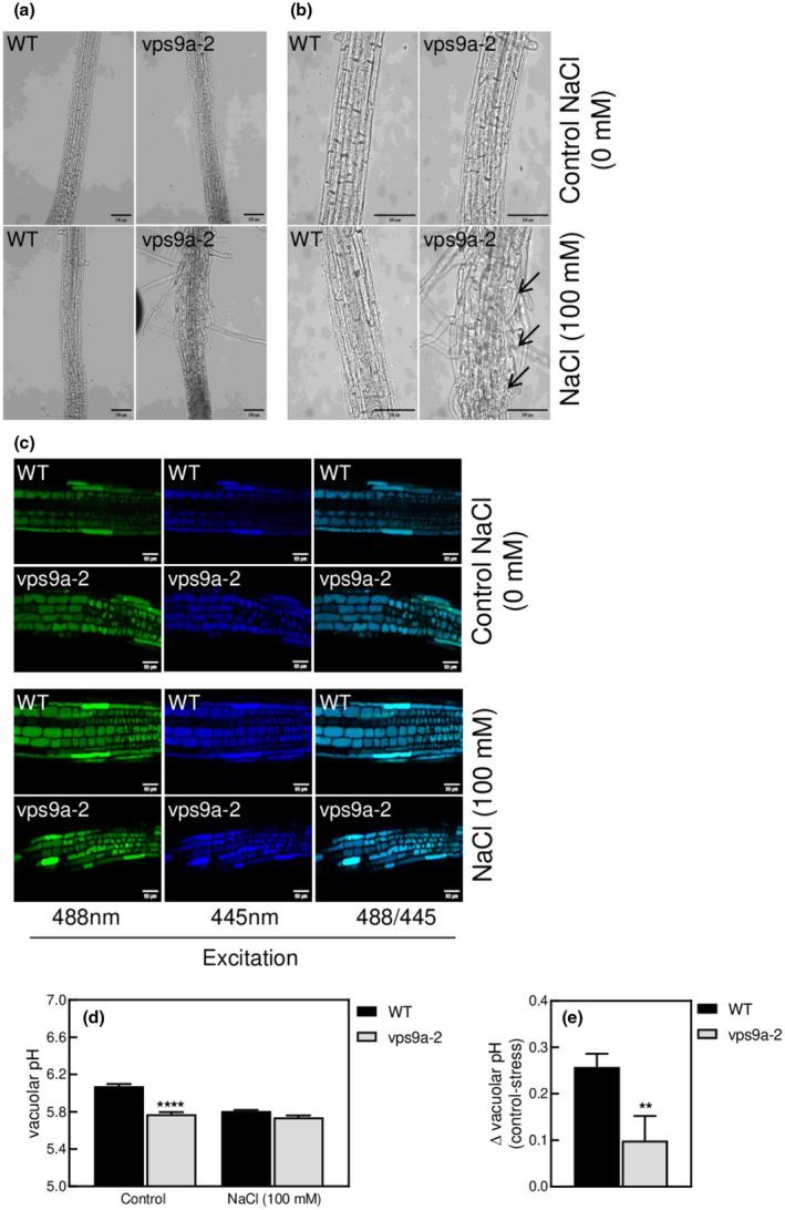 https://cdn.ncbi.nlm.nih.gov/pmc/blobs/af26/7576885/e1015f7a7571/PLD3-4-e00273-g005.jpg