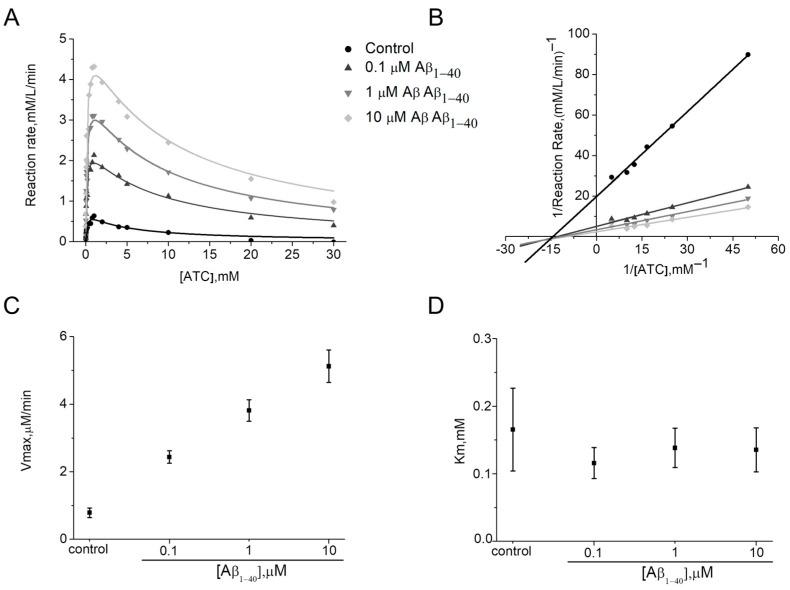 https://cdn.ncbi.nlm.nih.gov/pmc/blobs/af28/10671303/13dc33b5e514/ijms-24-16395-g003.jpg