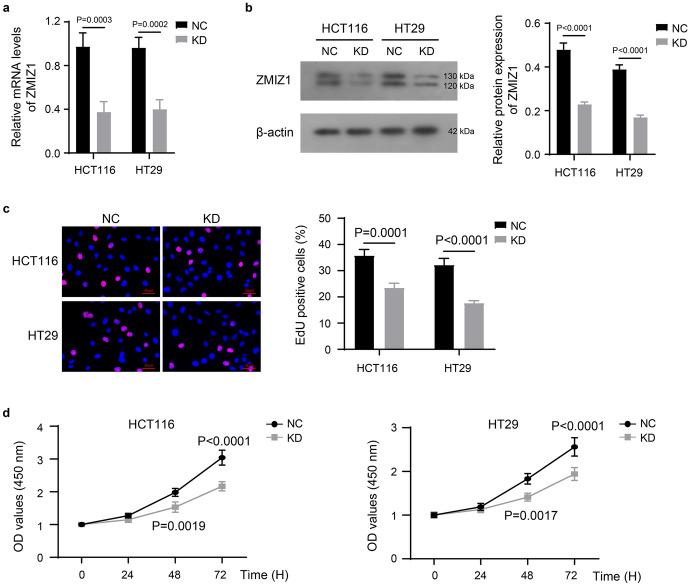 https://cdn.ncbi.nlm.nih.gov/pmc/blobs/af28/11289246/87ec05fb2c39/10528_2023_10573_Fig1_HTML.jpg