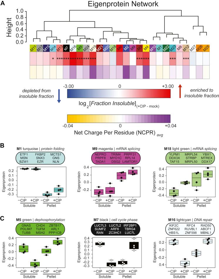 https://cdn.ncbi.nlm.nih.gov/pmc/blobs/af29/8569591/600e2426fceb/gr2.jpg