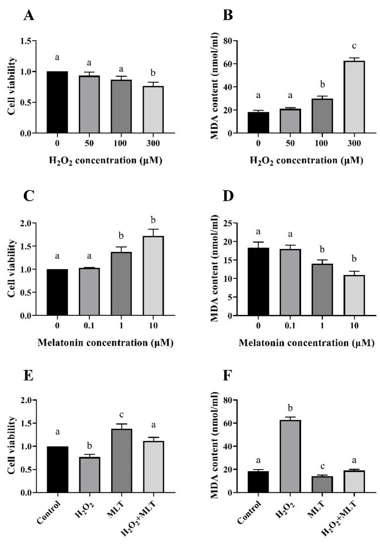 https://cdn.ncbi.nlm.nih.gov/pmc/blobs/af2a/11675259/781d952b8e08/genes-15-01544-g001.jpg