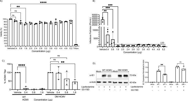 https://cdn.ncbi.nlm.nih.gov/pmc/blobs/af2a/12090748/0353af55cba0/jvi.00481-25.f003.jpg