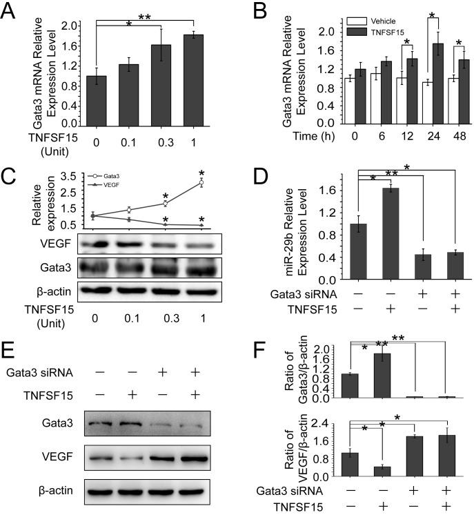 https://cdn.ncbi.nlm.nih.gov/pmc/blobs/af2b/5342489/f92a4a6d9e1a/oncotarget-07-69436-g003.jpg