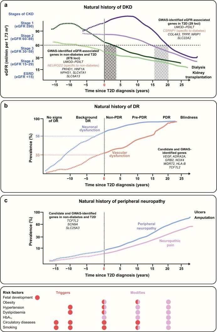 https://cdn.ncbi.nlm.nih.gov/pmc/blobs/af2c/10390394/5500cafec26c/125_2023_5964_Fig1_HTML.jpg