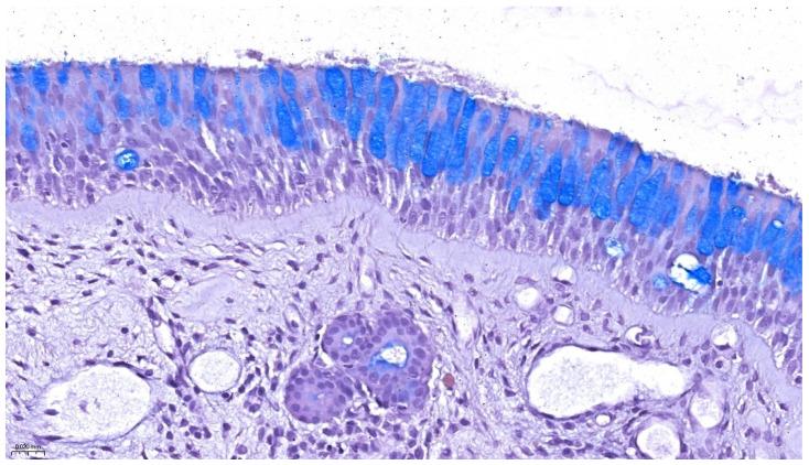 https://cdn.ncbi.nlm.nih.gov/pmc/blobs/af2f/12387195/7851b7ce84be/life-15-01228-g001.jpg