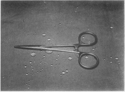 https://cdn.ncbi.nlm.nih.gov/pmc/blobs/af32/480152/8927649f7171/jclinpath00060-0028-b.jpg