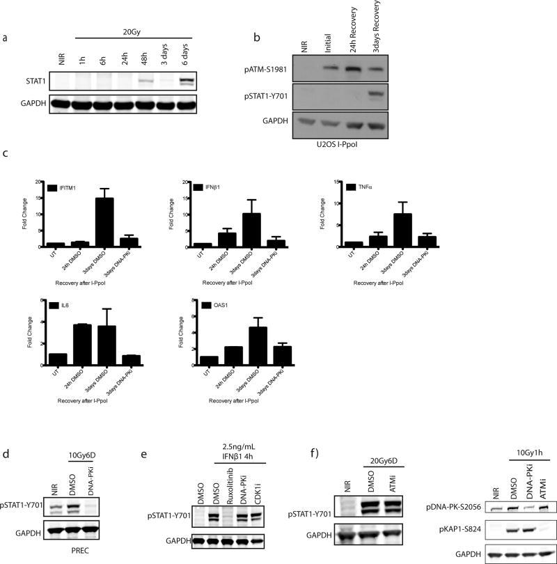 https://cdn.ncbi.nlm.nih.gov/pmc/blobs/af33/5857357/d4b40ccf7e92/nihms892290f5.jpg