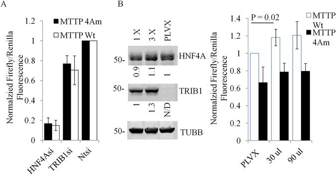 https://cdn.ncbi.nlm.nih.gov/pmc/blobs/af35/5514136/8ee806a14be8/41598_2017_5768_Fig3_HTML.jpg