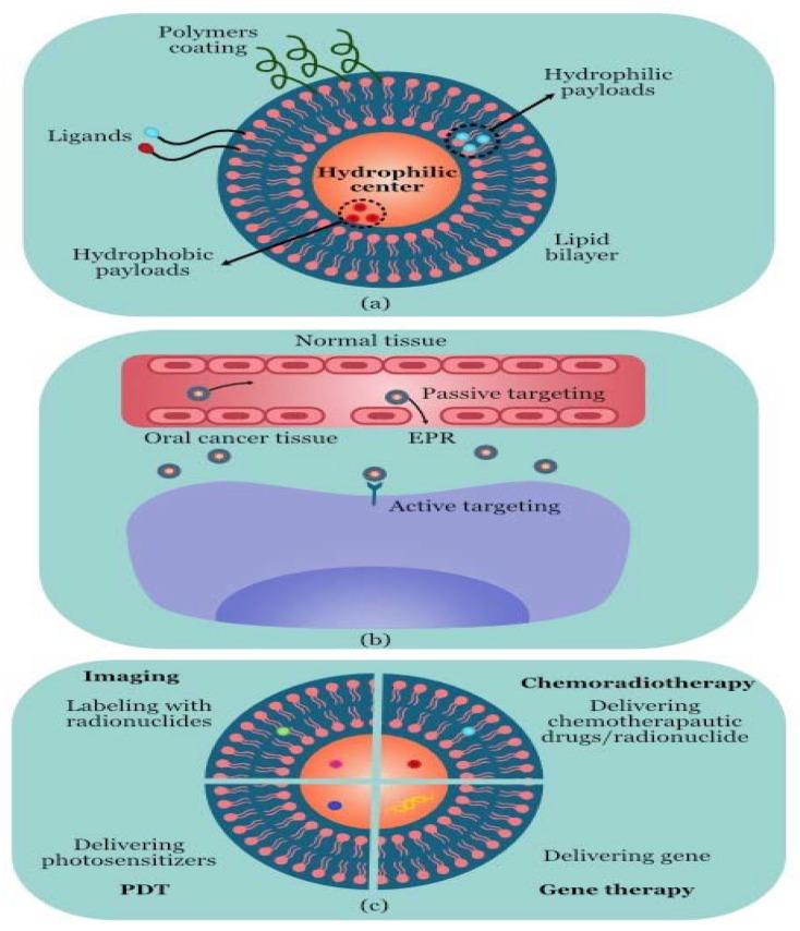 https://cdn.ncbi.nlm.nih.gov/pmc/blobs/af36/10385509/e253cbf0aacb/molecules-28-05395-g001.jpg