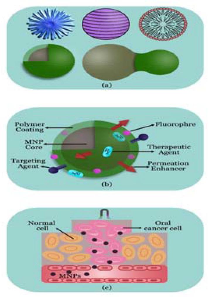 https://cdn.ncbi.nlm.nih.gov/pmc/blobs/af36/10385509/fdcb0738624e/molecules-28-05395-g003.jpg