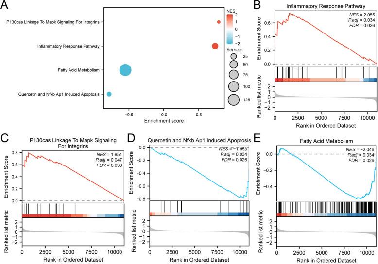 https://cdn.ncbi.nlm.nih.gov/pmc/blobs/af37/11603941/0c18cac4713b/13098_2024_1531_Fig5_HTML.jpg