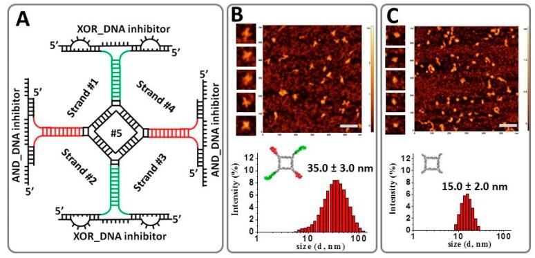 https://cdn.ncbi.nlm.nih.gov/pmc/blobs/af39/6315349/87deb39a70fd/nanomaterials-08-00984-g003.jpg
