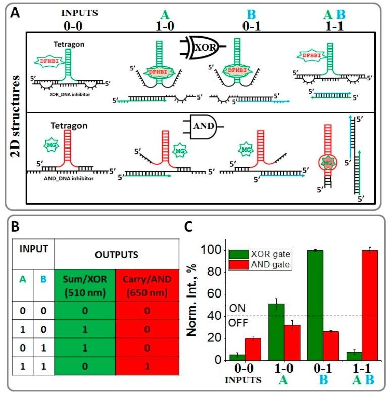 https://cdn.ncbi.nlm.nih.gov/pmc/blobs/af39/6315349/89daa7d4812c/nanomaterials-08-00984-g004.jpg