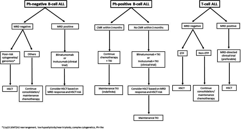 https://cdn.ncbi.nlm.nih.gov/pmc/blobs/af39/7275444/fdc48913846d/13045_2020_905_Fig1_HTML.jpg