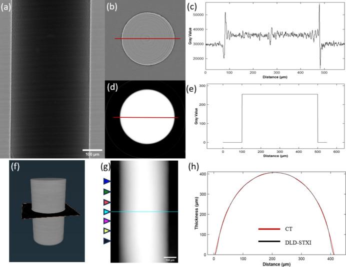 https://cdn.ncbi.nlm.nih.gov/pmc/blobs/af3b/12416431/854e1a9bef10/s-32-01310-fig3.jpg