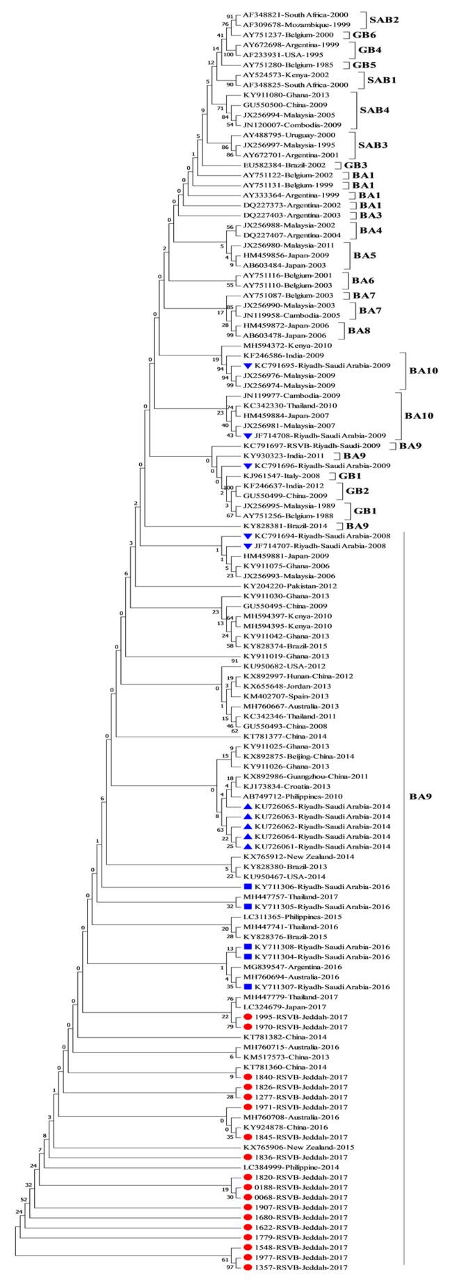 https://cdn.ncbi.nlm.nih.gov/pmc/blobs/af3b/7695323/4ffbfc0976fe/genes-11-01323-g003.jpg