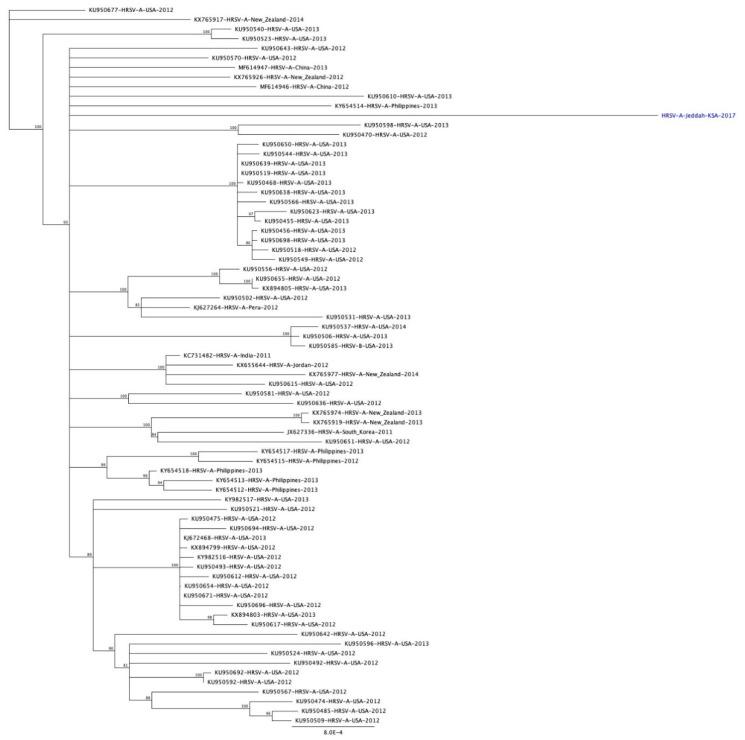 https://cdn.ncbi.nlm.nih.gov/pmc/blobs/af3b/7695323/918eed0e3112/genes-11-01323-g006.jpg