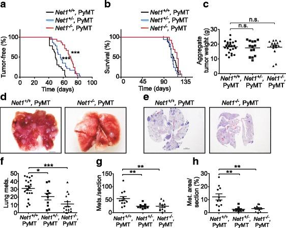 https://cdn.ncbi.nlm.nih.gov/pmc/blobs/af3c/5956559/279910dbfff2/13058_2018_966_Fig1_HTML.jpg
