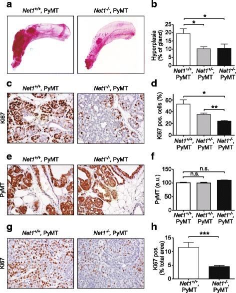 https://cdn.ncbi.nlm.nih.gov/pmc/blobs/af3c/5956559/754f70ad7094/13058_2018_966_Fig2_HTML.jpg