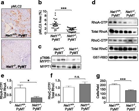 https://cdn.ncbi.nlm.nih.gov/pmc/blobs/af3c/5956559/c0ffcb5aaf67/13058_2018_966_Fig4_HTML.jpg