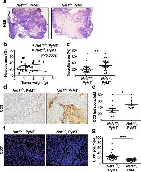 https://cdn.ncbi.nlm.nih.gov/pmc/blobs/af3c/5956559/f172f6f7a899/13058_2018_966_Fig3_HTML.jpg