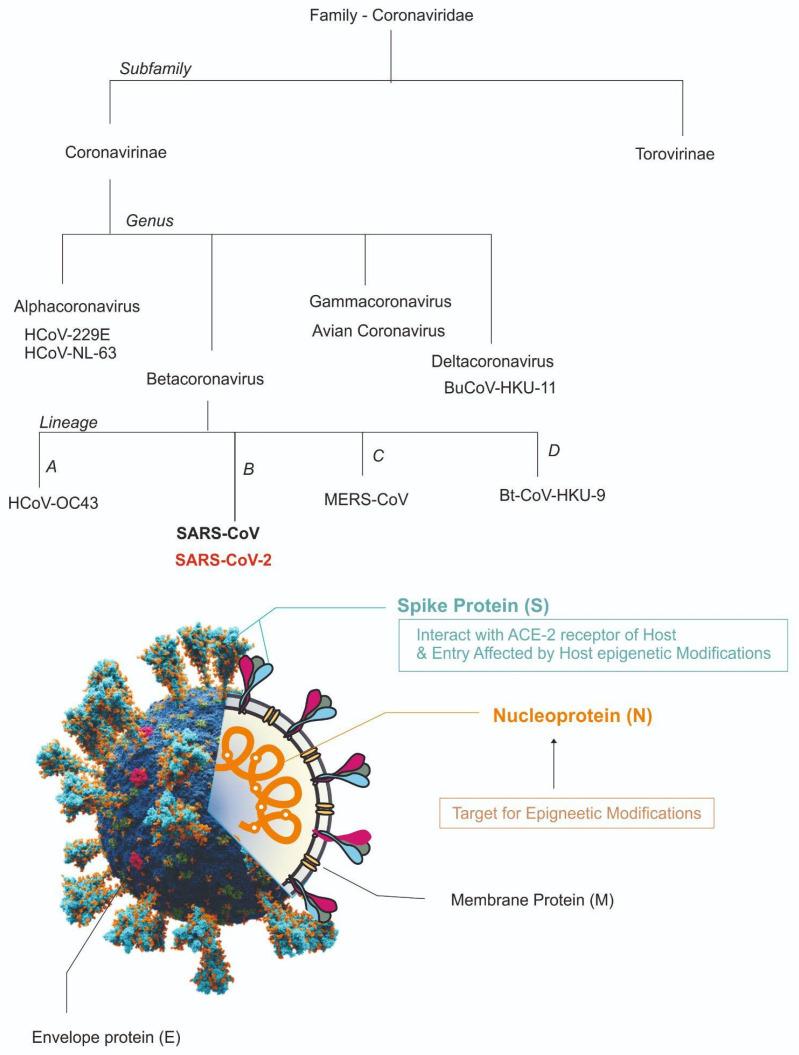 https://cdn.ncbi.nlm.nih.gov/pmc/blobs/af3c/9967649/9cfa053f1875/microorganisms-11-00341-g001.jpg