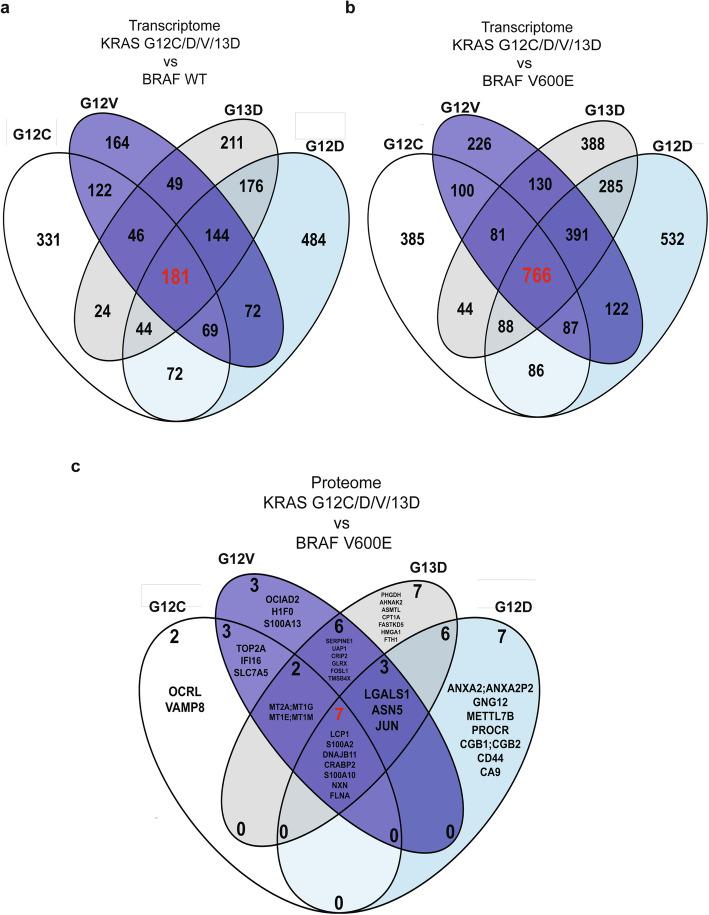 https://cdn.ncbi.nlm.nih.gov/pmc/blobs/af3e/8265010/7a6aa1015e80/13046_2021_2025_Fig2_HTML.jpg