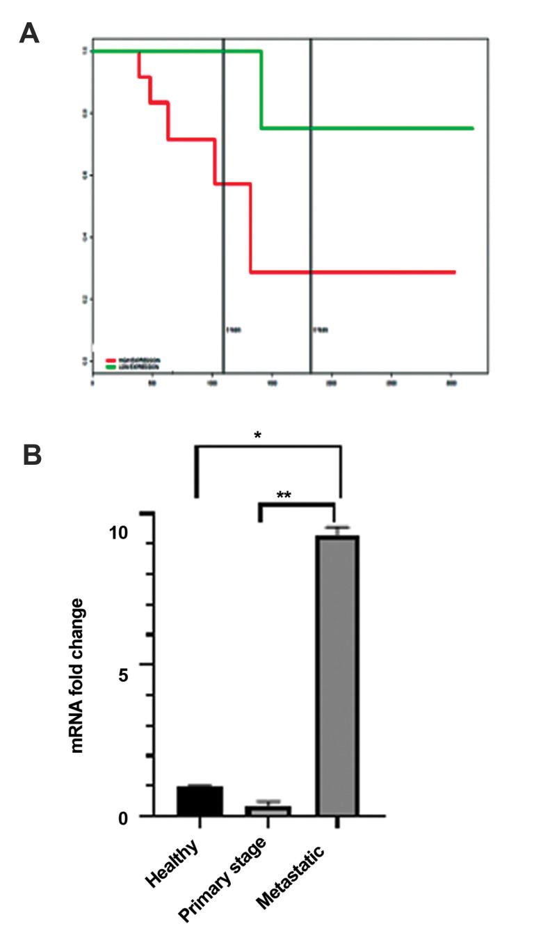 https://cdn.ncbi.nlm.nih.gov/pmc/blobs/af40/8405074/8b30a77e5a43/Cell-J-23-406-g04.jpg