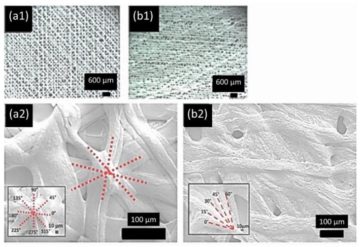 https://cdn.ncbi.nlm.nih.gov/pmc/blobs/af47/8512344/b9e1cb61c1ba/polymers-13-03315-g003.jpg