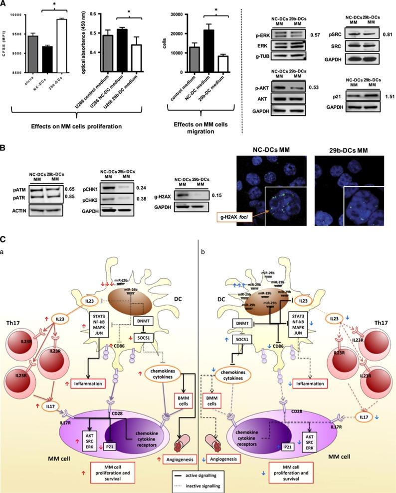 https://cdn.ncbi.nlm.nih.gov/pmc/blobs/af48/5886056/b0c6781741de/leu2017336f6.jpg