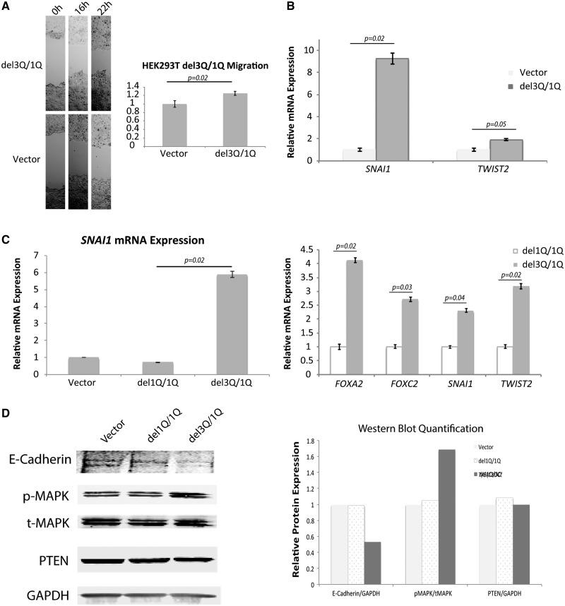 https://cdn.ncbi.nlm.nih.gov/pmc/blobs/af4e/5351935/6825012979de/ddw382f3.jpg