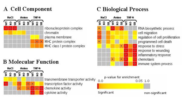 https://cdn.ncbi.nlm.nih.gov/pmc/blobs/af4f/2842250/fc68dc0b8315/1471-2164-11-144-5.jpg