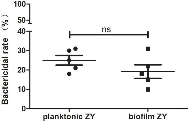 https://cdn.ncbi.nlm.nih.gov/pmc/blobs/af4f/5357632/ef74cf35c4e6/fcimb-07-00086-g0005.jpg