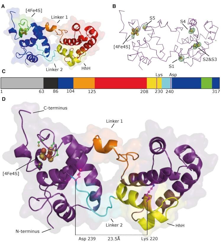 https://cdn.ncbi.nlm.nih.gov/pmc/blobs/af4f/8682792/f3bff2a4c2d6/gkab1162fig1.jpg