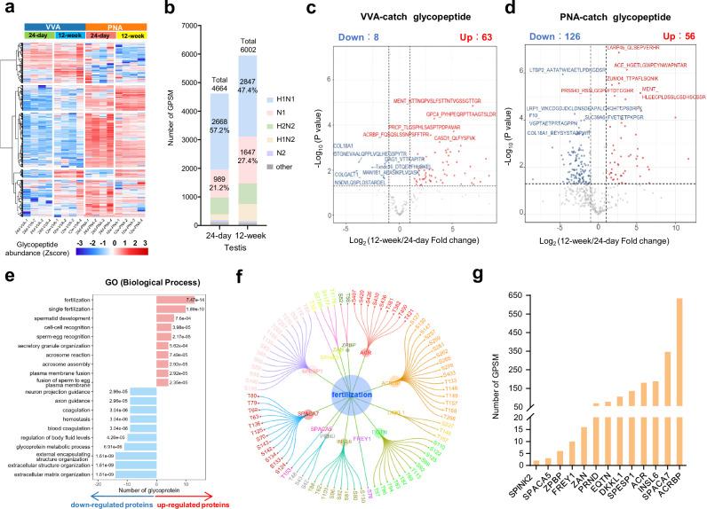 https://cdn.ncbi.nlm.nih.gov/pmc/blobs/af51/11920050/57a5fed4b379/41467_2025_57980_Fig4_HTML.jpg
