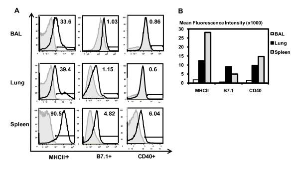 https://cdn.ncbi.nlm.nih.gov/pmc/blobs/af51/2527294/c6504f1d0f75/1471-2172-9-48-1.jpg