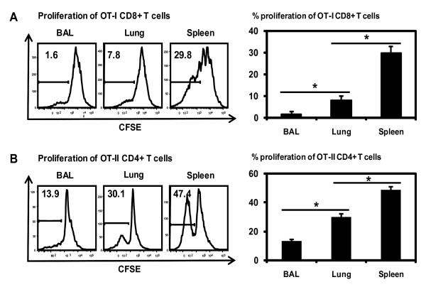 https://cdn.ncbi.nlm.nih.gov/pmc/blobs/af51/2527294/f251e1898bc7/1471-2172-9-48-4.jpg
