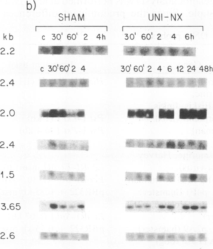 https://cdn.ncbi.nlm.nih.gov/pmc/blobs/af51/282059/0bfd411e87dc/pnas00297-0202-a.jpg