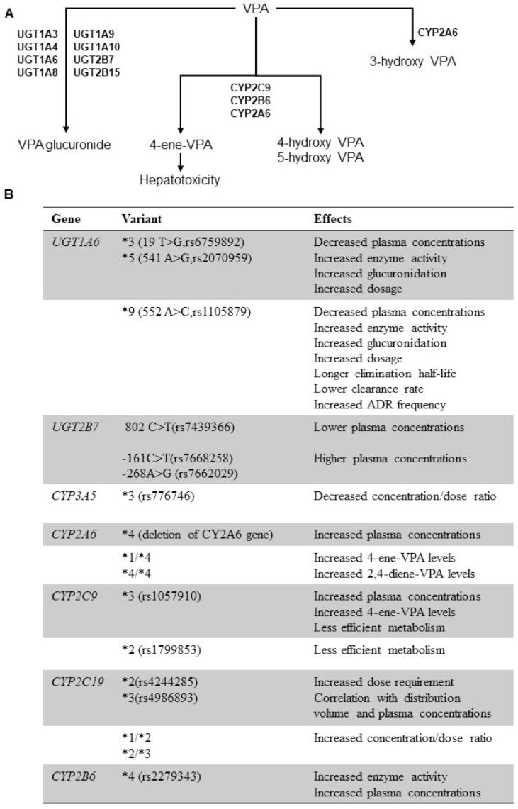https://cdn.ncbi.nlm.nih.gov/pmc/blobs/af54/8001195/109e208d5f0f/pharmaceuticals-14-00204-g002.jpg