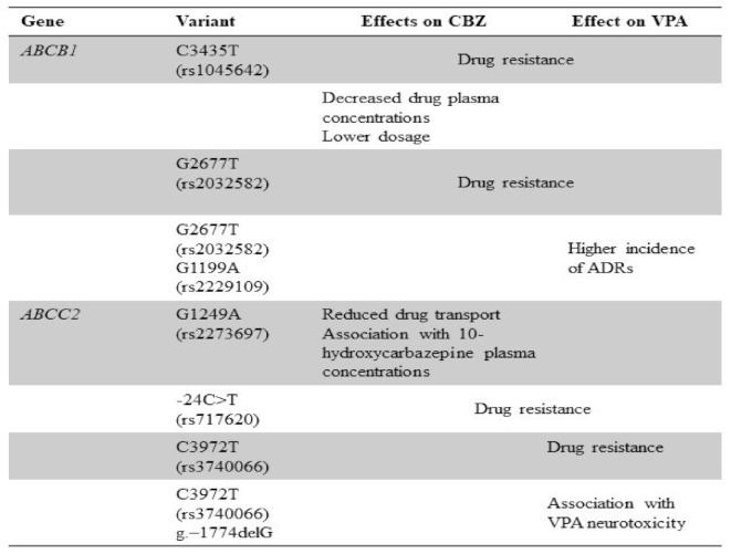https://cdn.ncbi.nlm.nih.gov/pmc/blobs/af54/8001195/77bcbb2639f4/pharmaceuticals-14-00204-g003.jpg