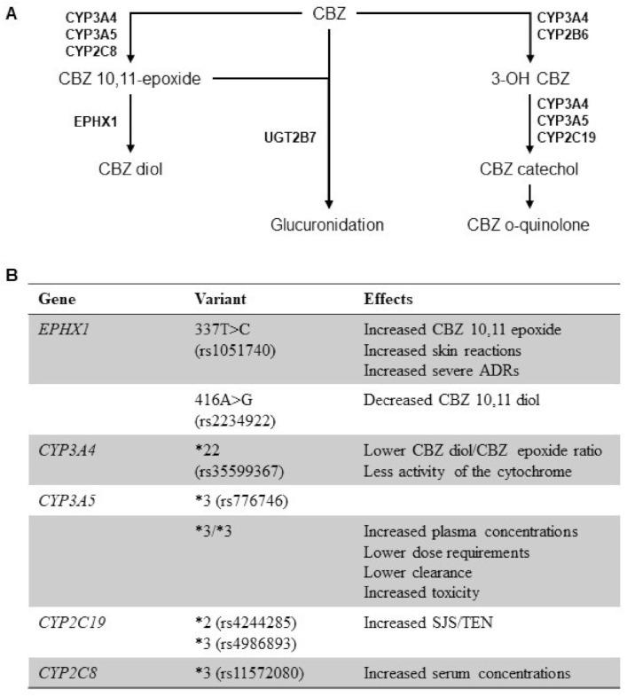 https://cdn.ncbi.nlm.nih.gov/pmc/blobs/af54/8001195/87d907730876/pharmaceuticals-14-00204-g001.jpg