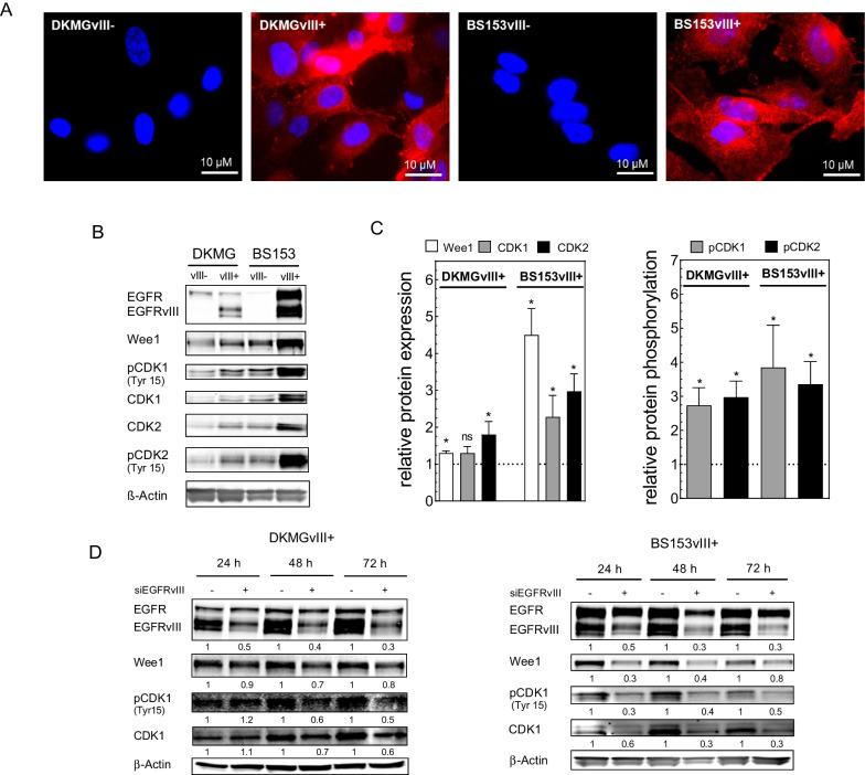 https://cdn.ncbi.nlm.nih.gov/pmc/blobs/af54/9884419/0d0a1895698f/13014_2023_2210_Fig1_HTML.jpg