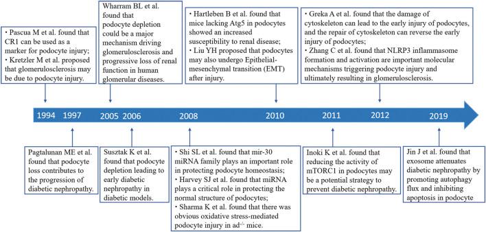 https://cdn.ncbi.nlm.nih.gov/pmc/blobs/af55/8678497/b4c59a515f61/fphar-12-772386-g007.jpg
